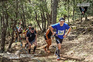 Trail des cèdres 2024